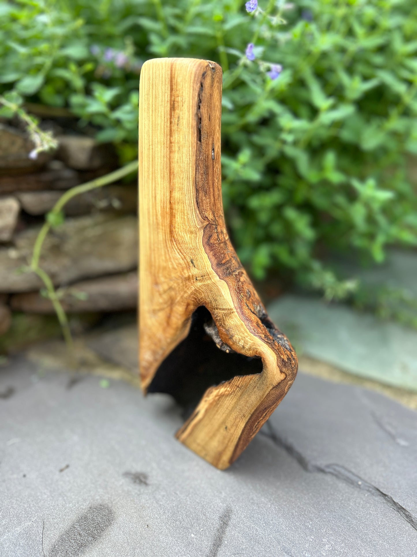 Knotted Ash Vase
