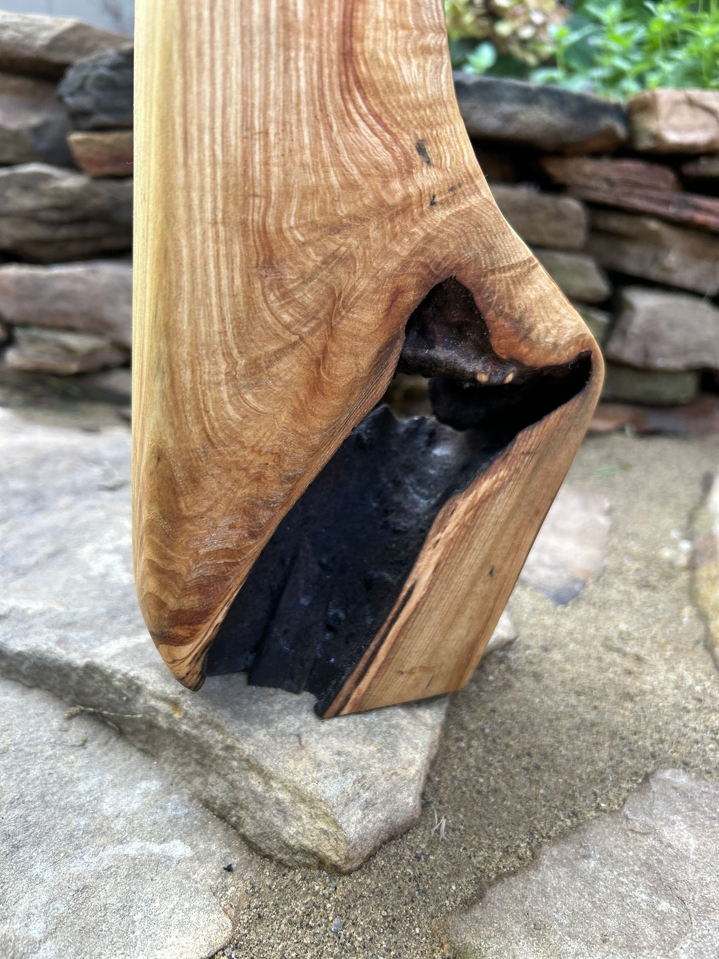 Knotted Ash Vase