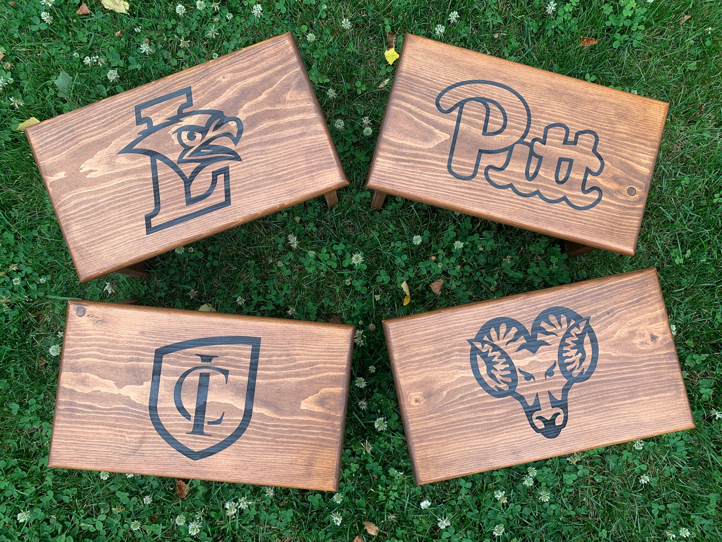 Custom Step Stool