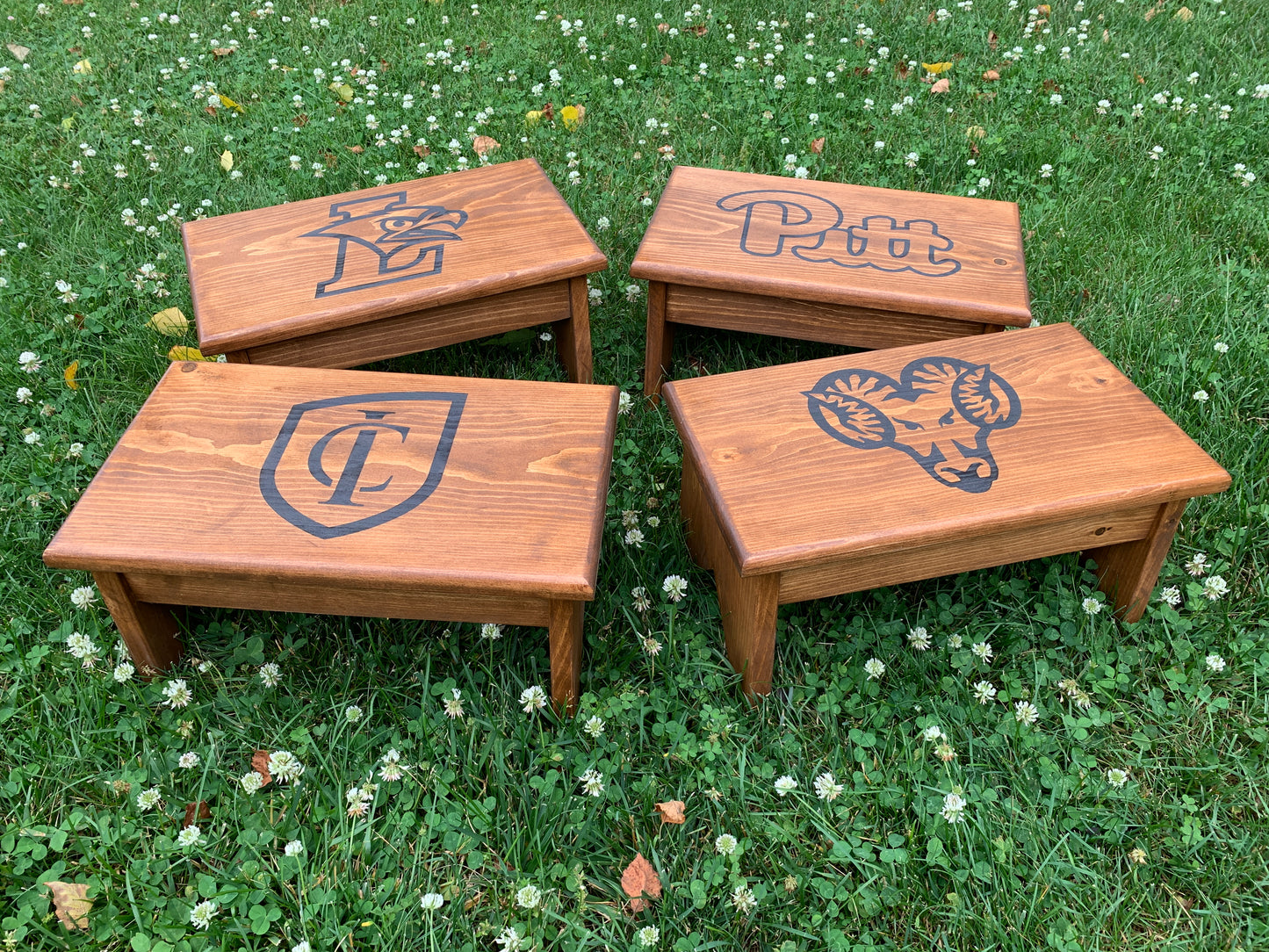 Custom Step Stool