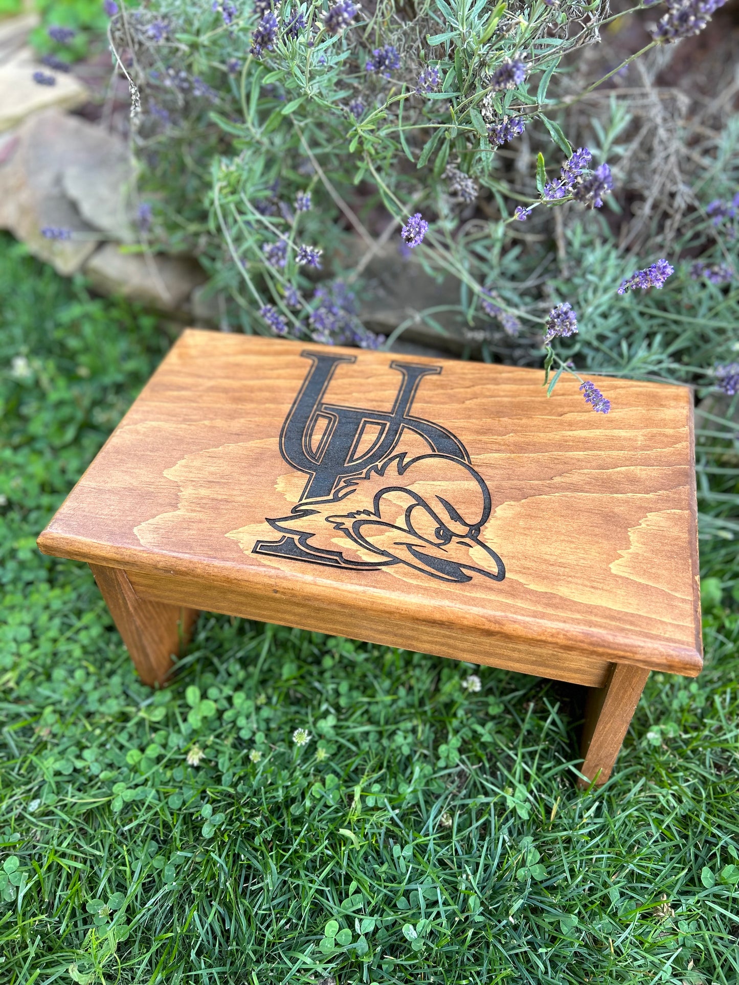 Custom Step Stool