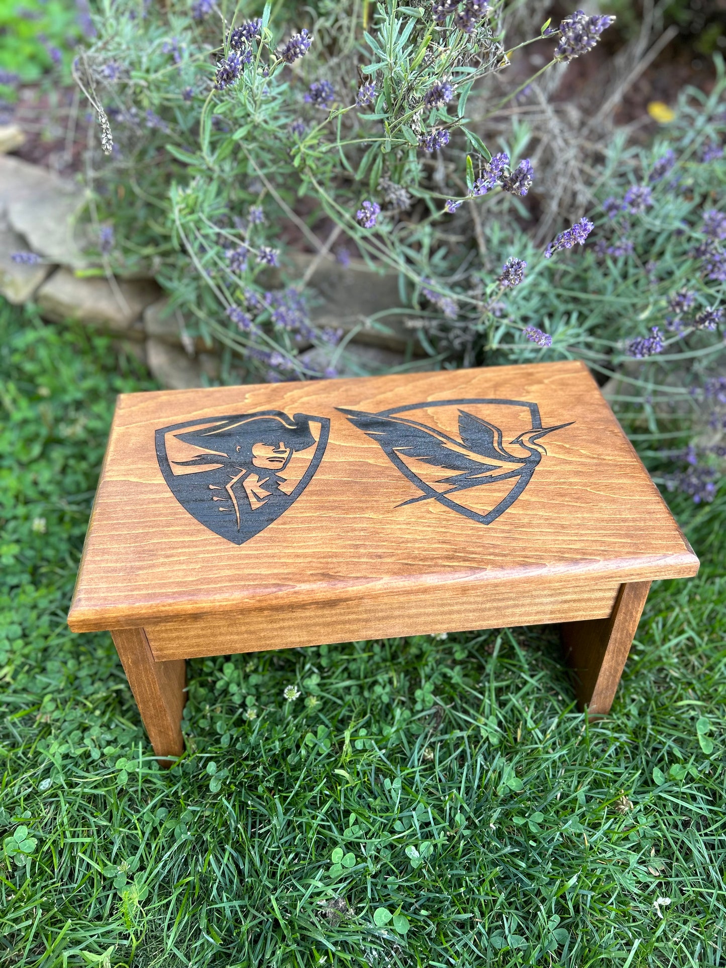 Custom Step Stool