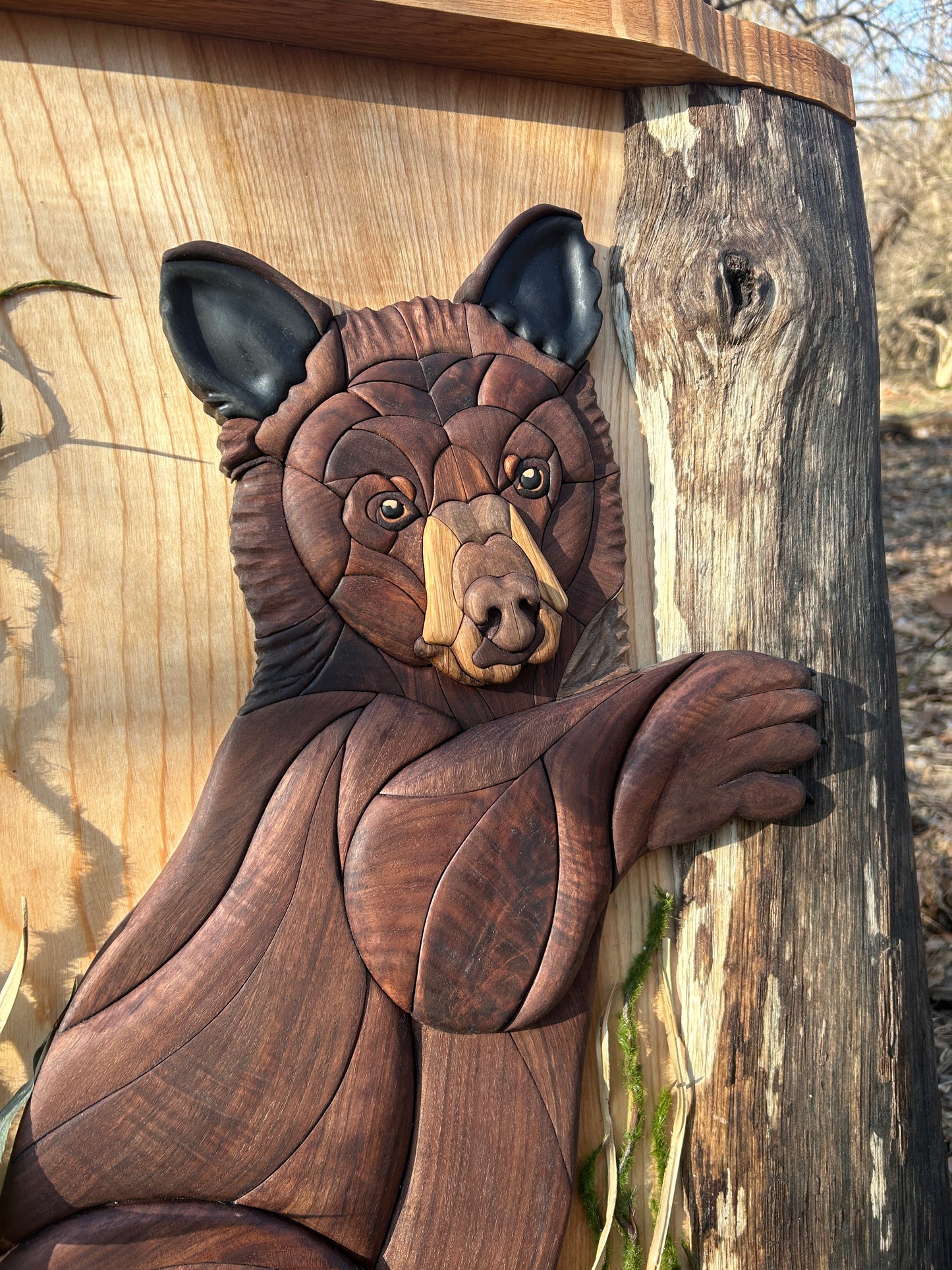 "Quiet Observer" - Intarsia Black Bear