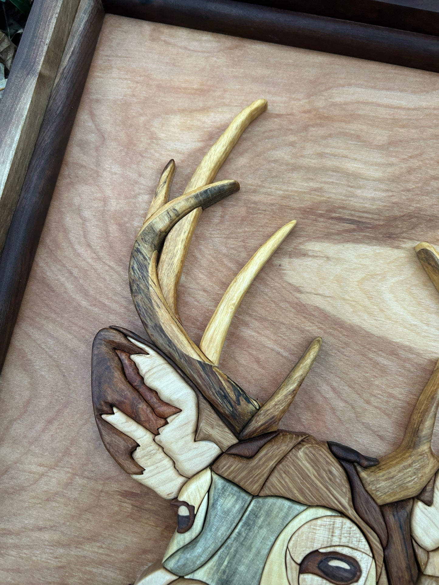 "Woodland Legacy" - Intarsia Deer