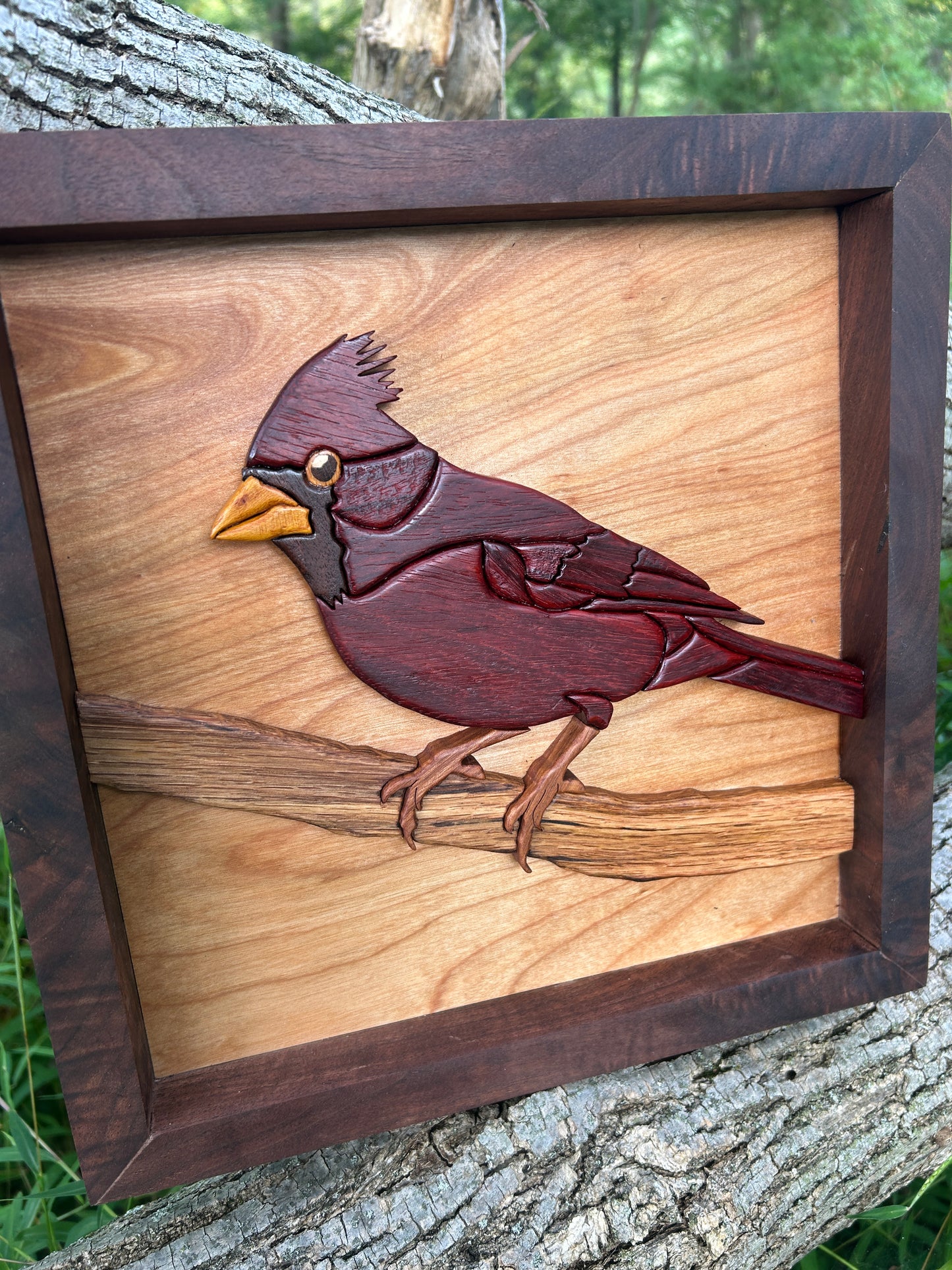 "The Visitor" - Intarsia Cardinal