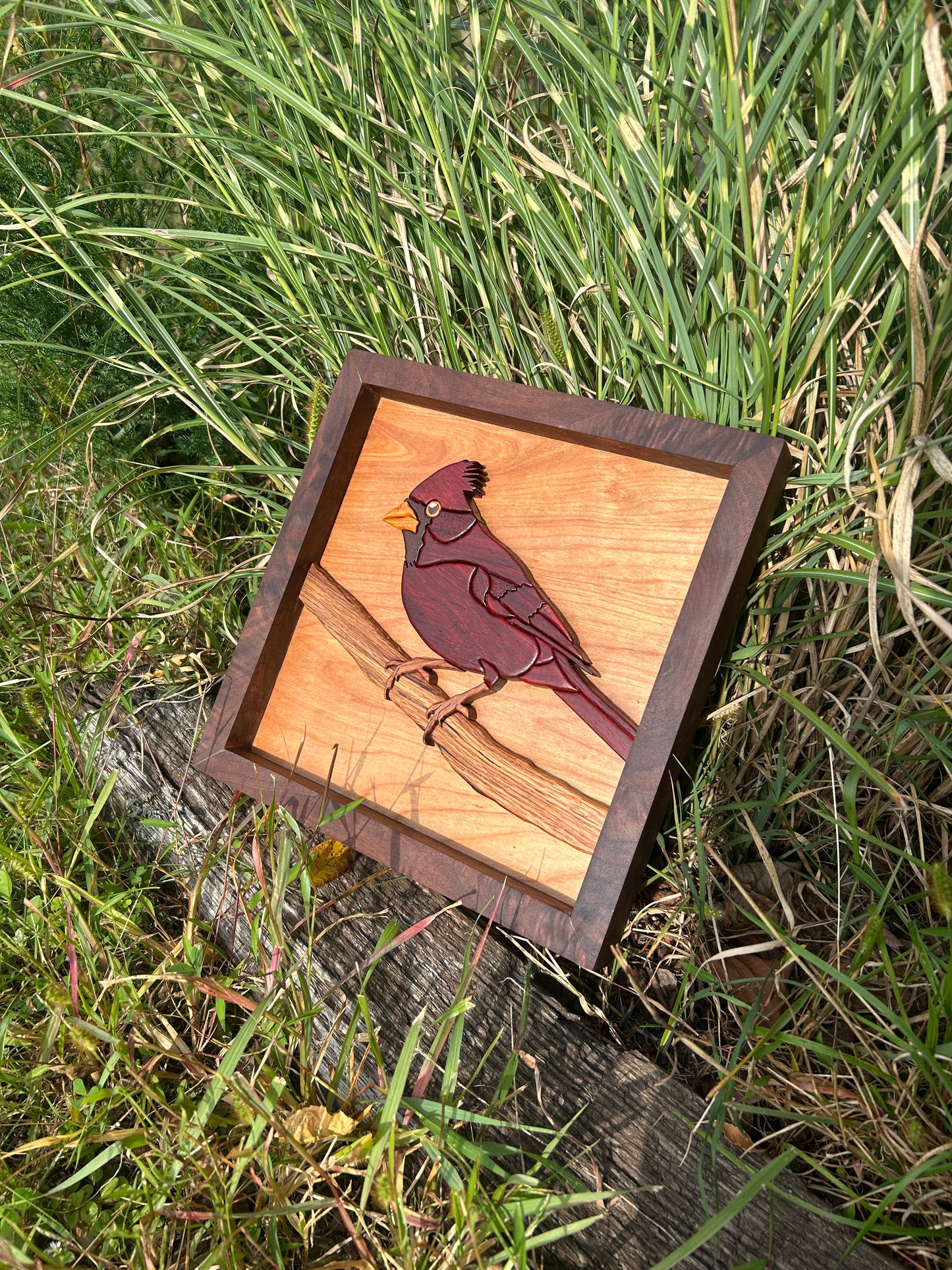 "The Visitor" - Intarsia Cardinal