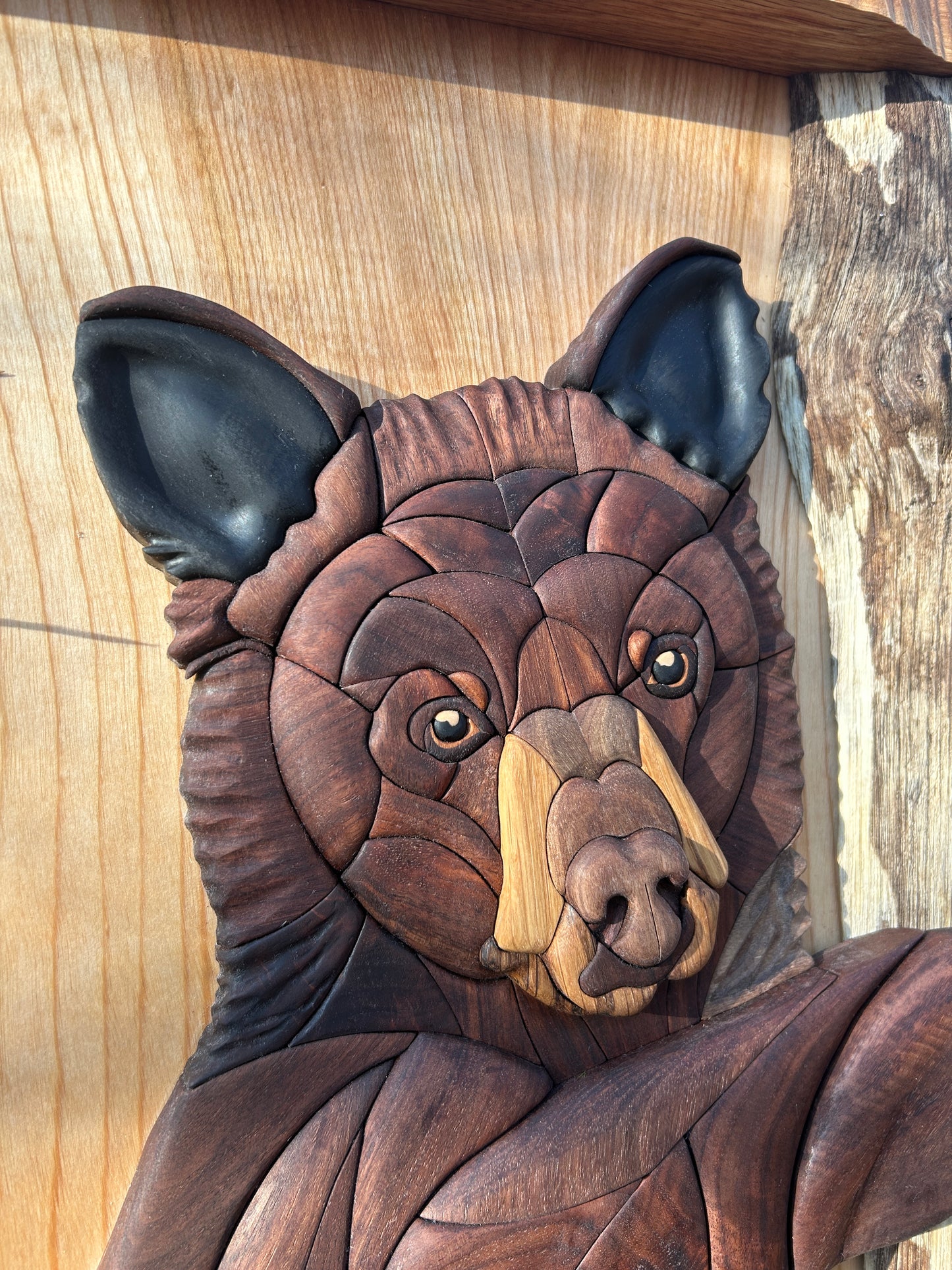 "Quiet Observer" - Intarsia Black Bear