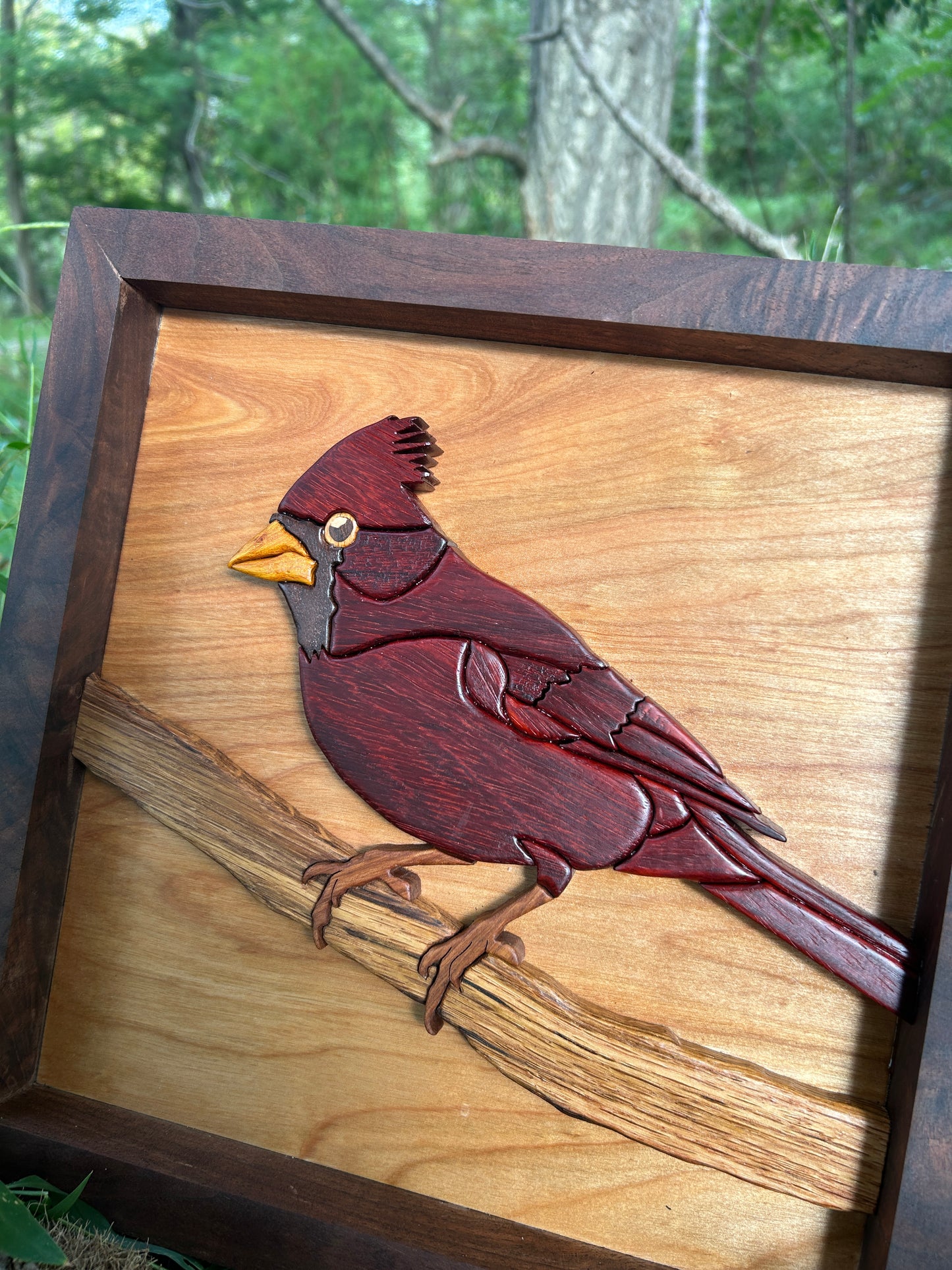 "The Visitor" - Intarsia Cardinal