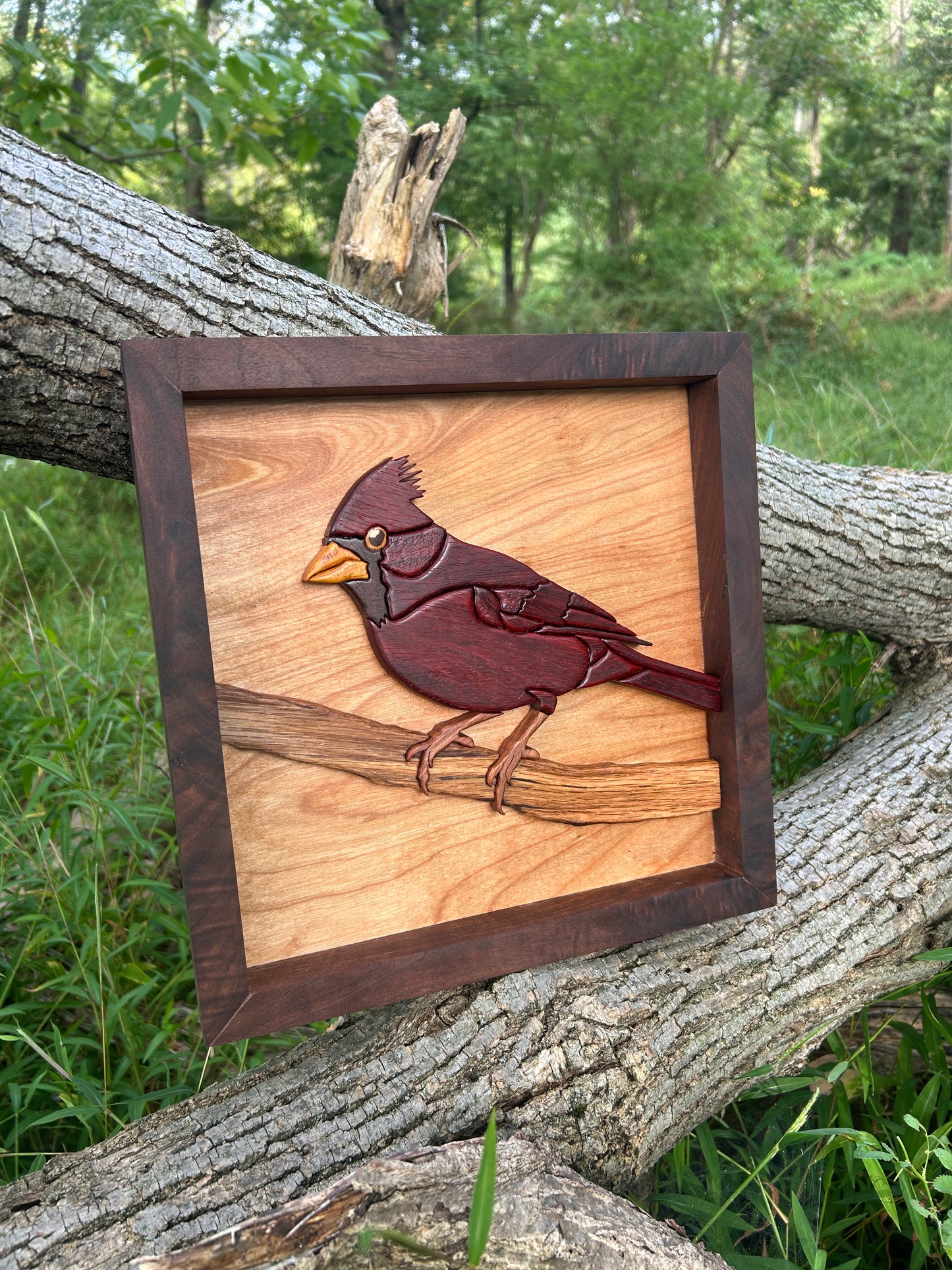 "The Visitor" - Intarsia Cardinal