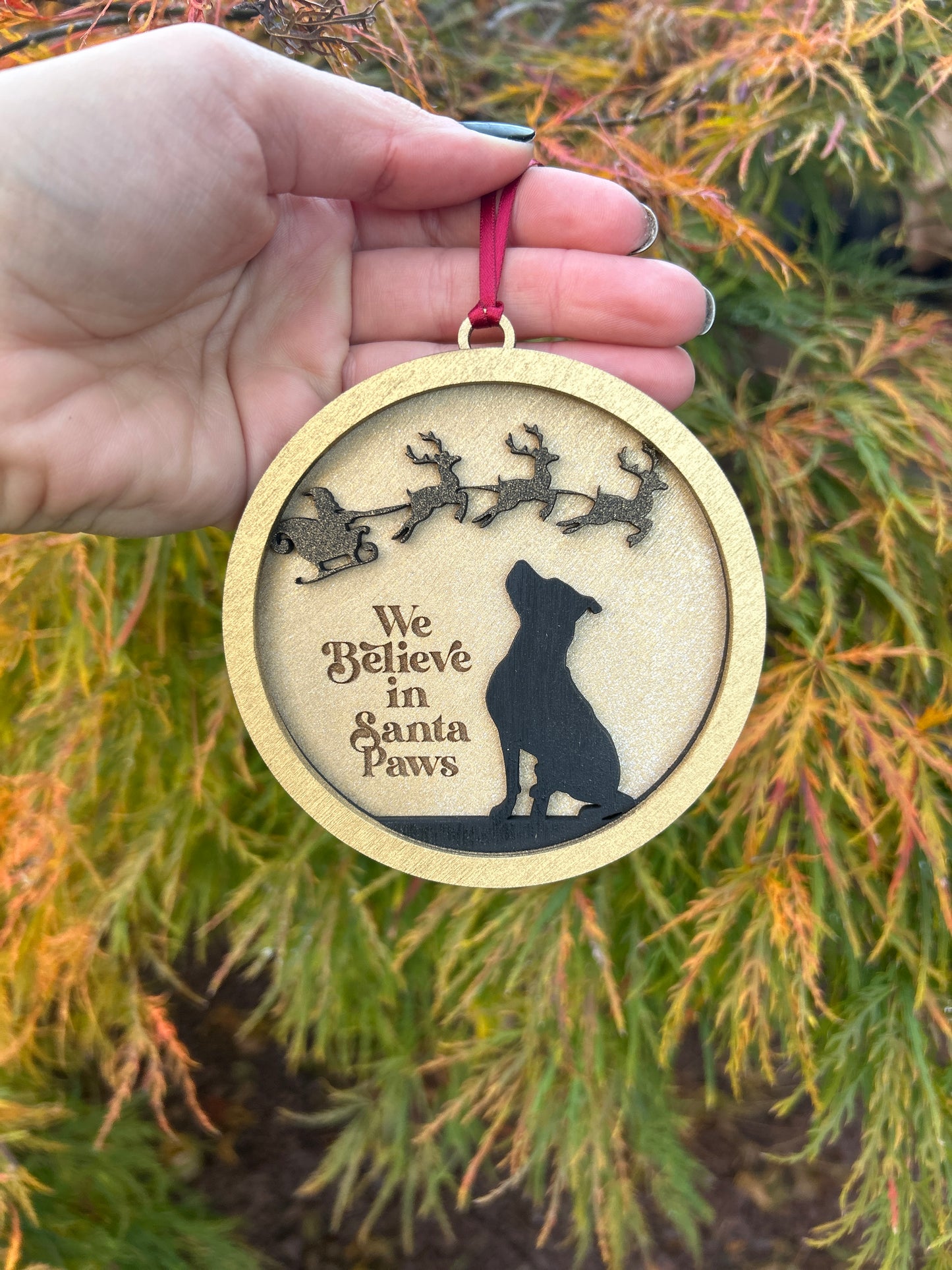 We Believe in Santa Paws Ornament