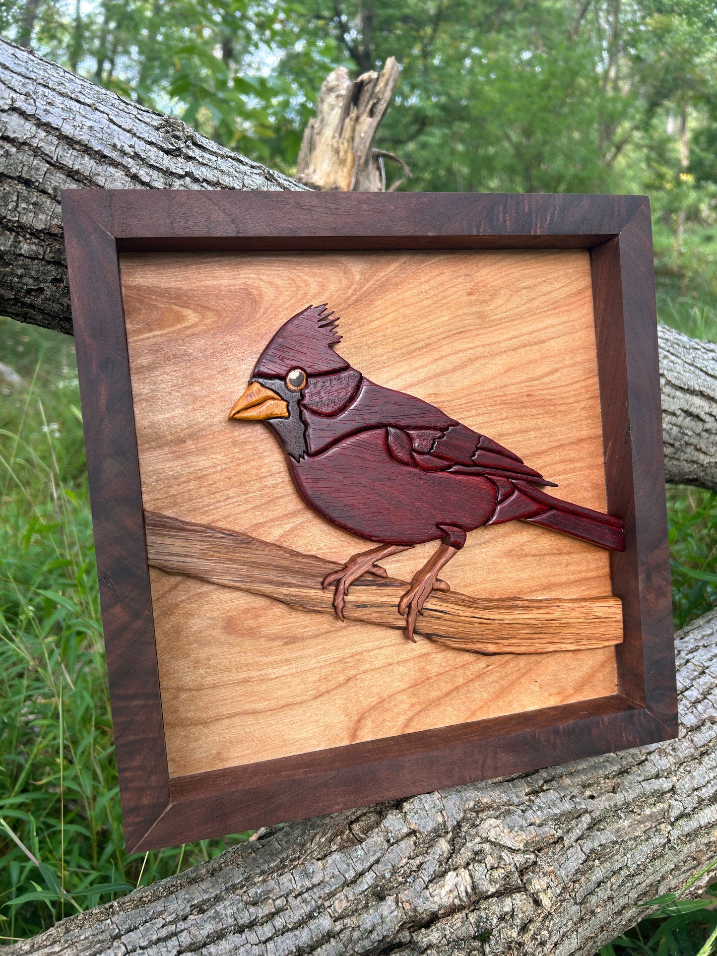 "The Visitor" - Intarsia Cardinal
