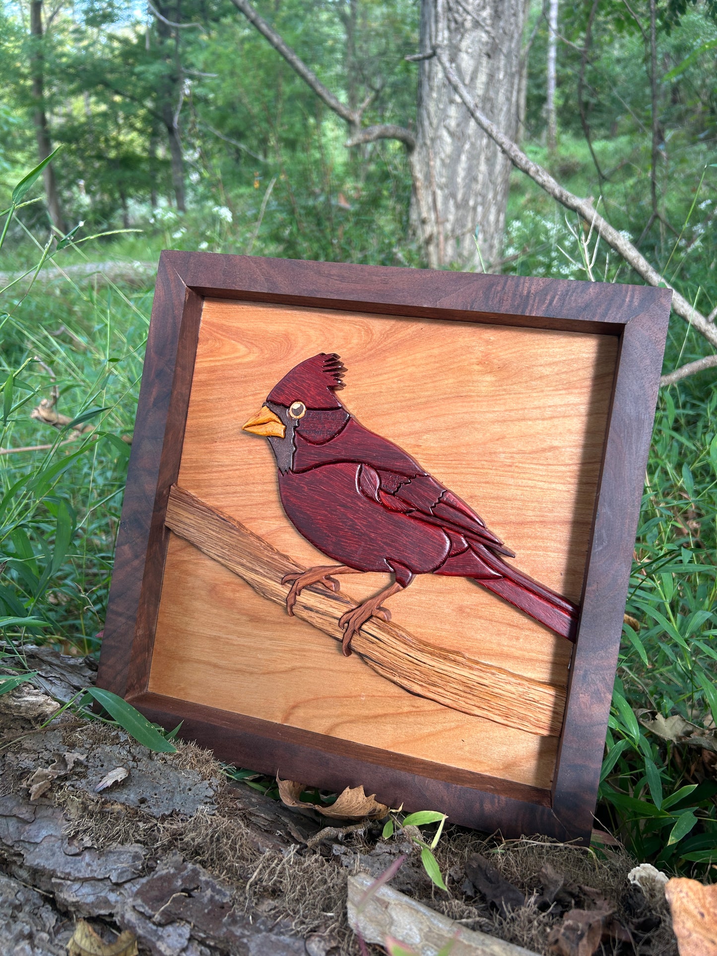 "The Visitor" - Intarsia Cardinal