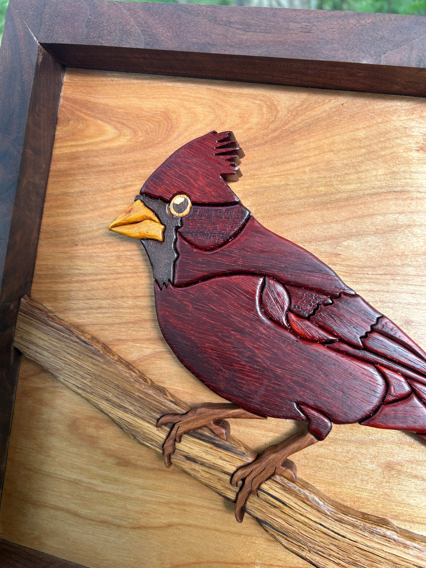 "The Visitor" - Intarsia Cardinal