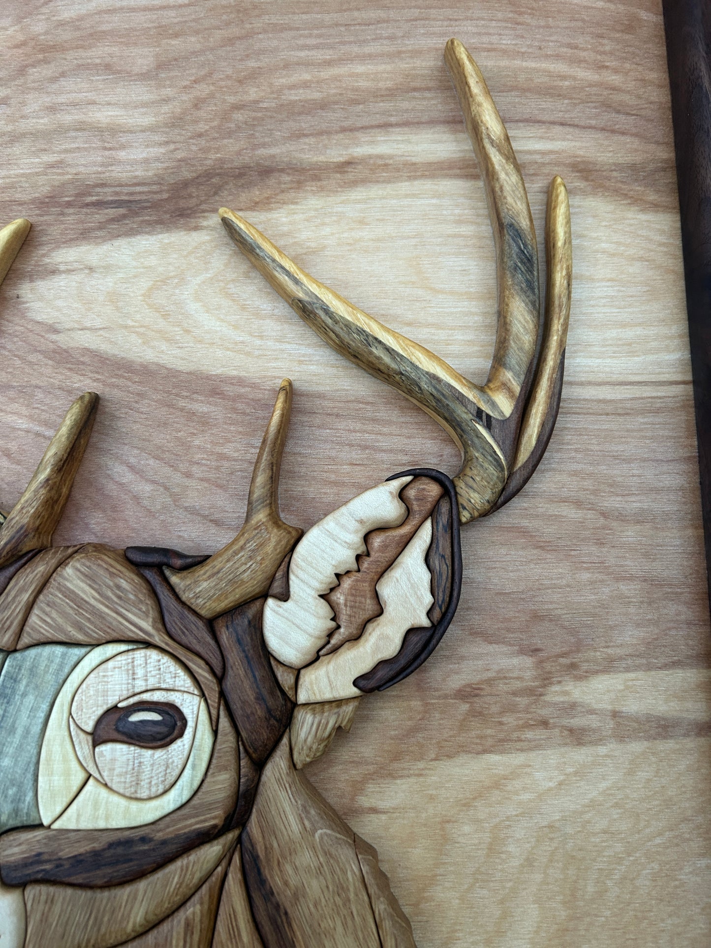 "Woodland Legacy" - Intarsia Deer