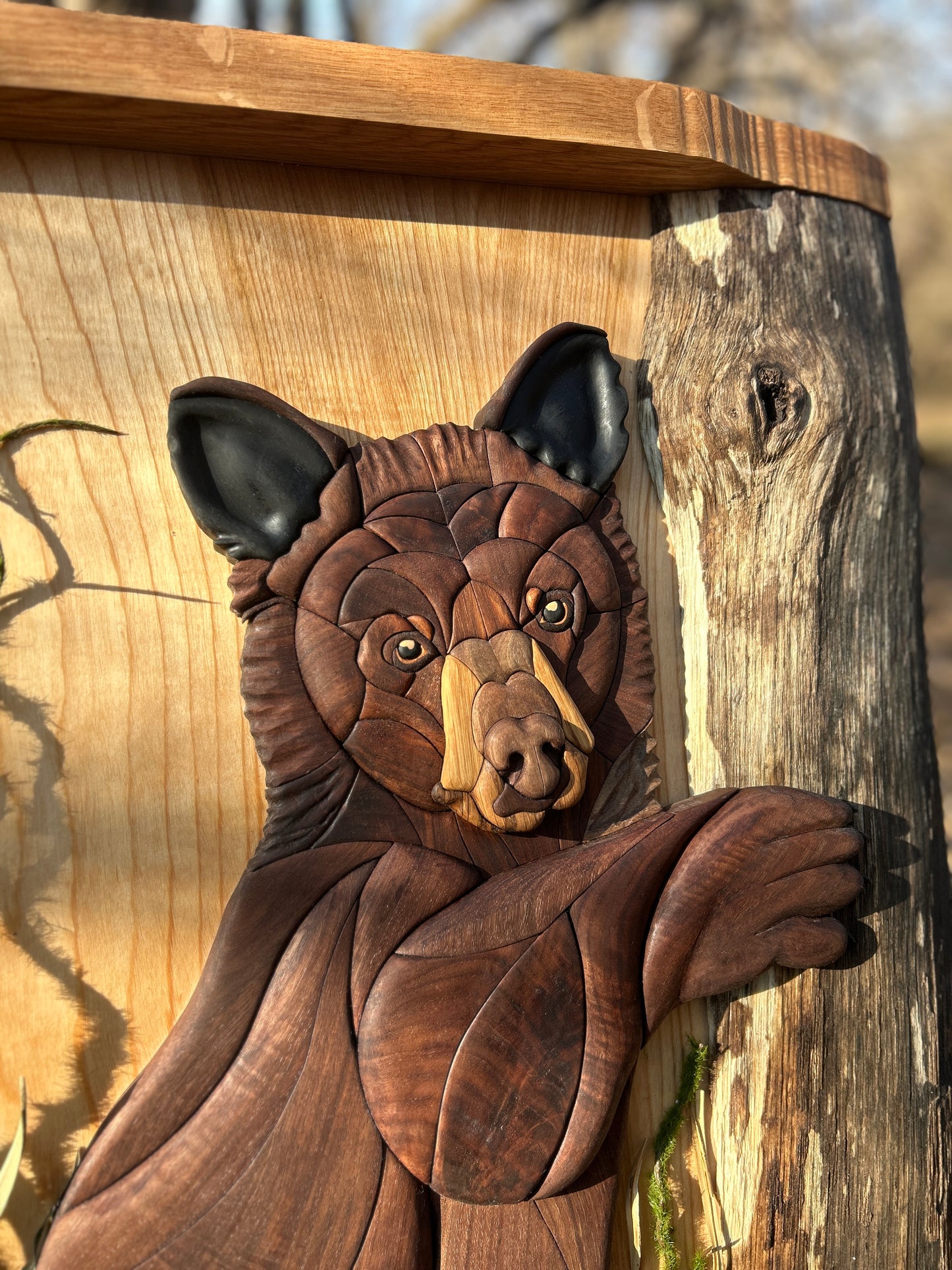 "Quiet Observer" - Intarsia Black Bear