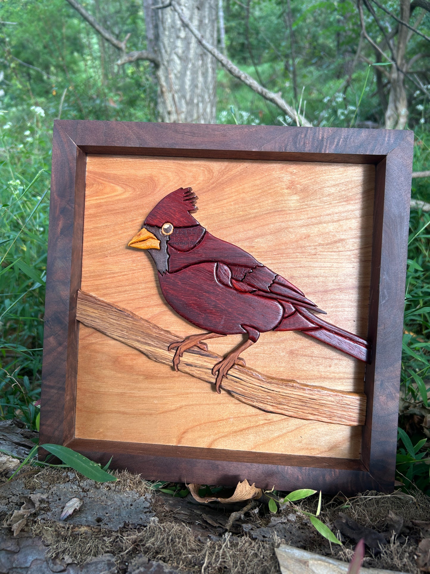 "The Visitor" - Intarsia Cardinal