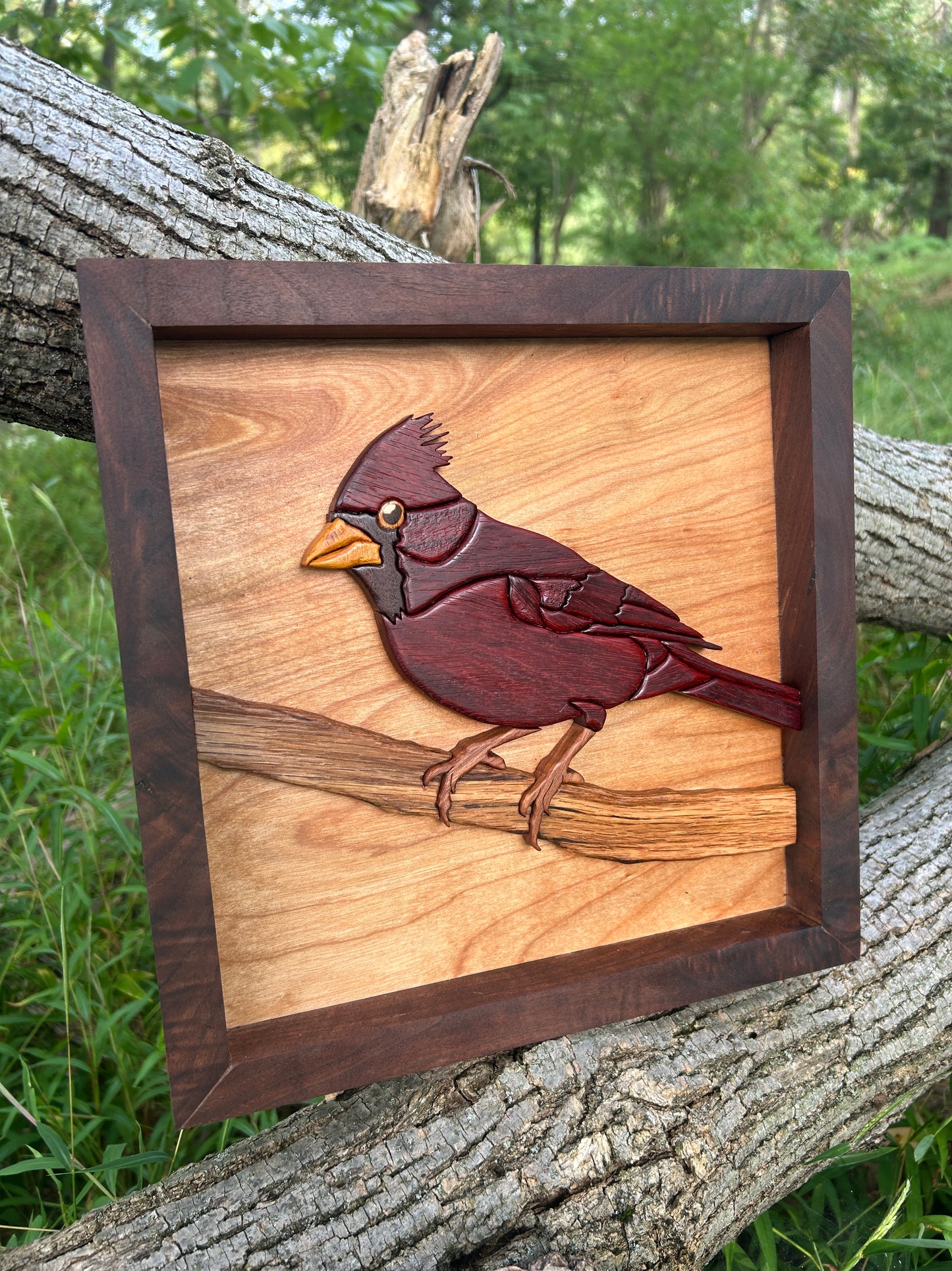 "The Visitor" - Intarsia Cardinal