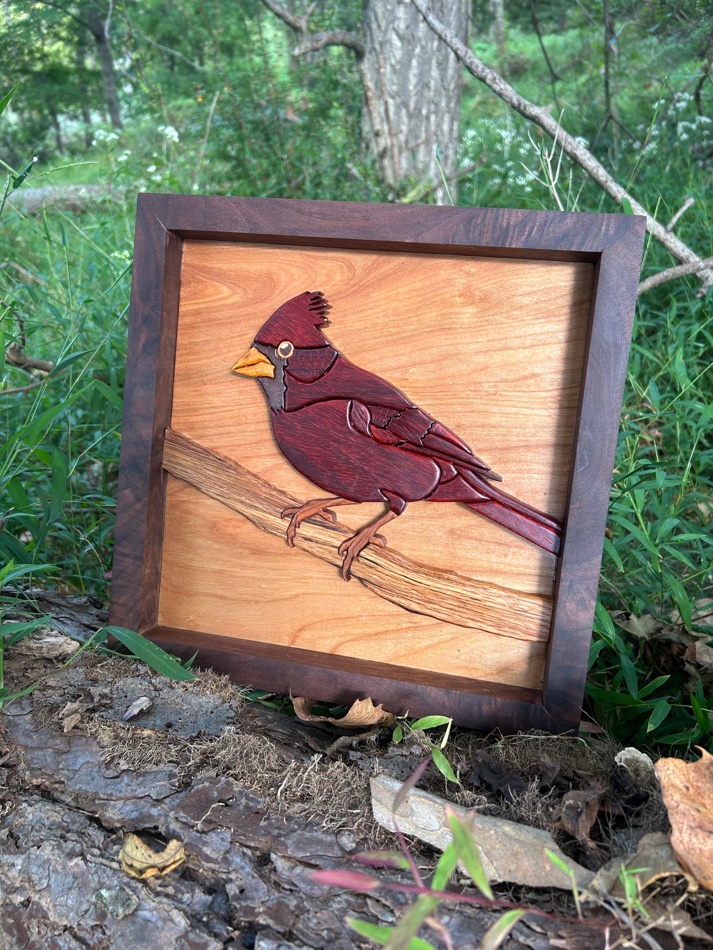 "The Visitor" - Intarsia Cardinal